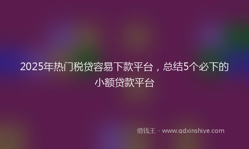 2025年热门税贷容易下款平台，总结5个必下的小额贷款平台