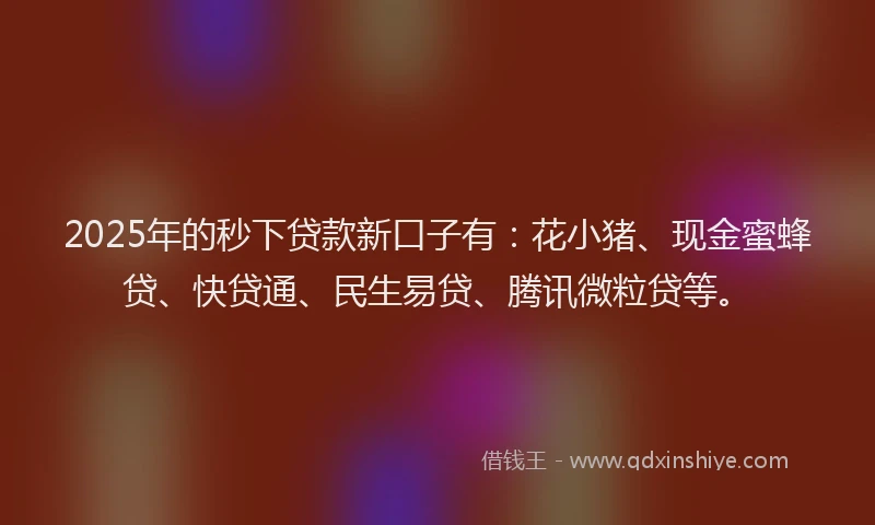 2025年的秒下贷款新口子有：花小猪、现金蜜蜂贷、快贷通、民生易贷、腾讯微粒贷等。