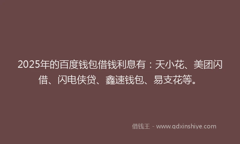 2025年的百度钱包借钱利息有：天小花、美团闪借、闪电侠贷、鑫速钱包、易支花等。