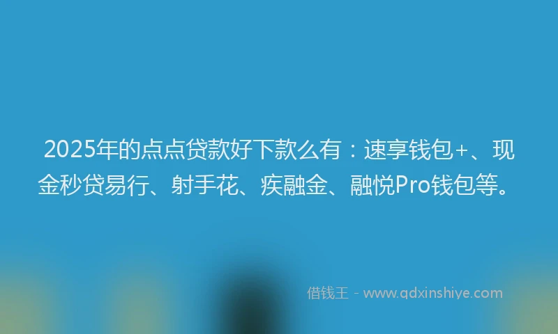2025年的点点贷款好下款么有：速享钱包+、现金秒贷易行、射手花、疾融金、融悦Pro钱包等。