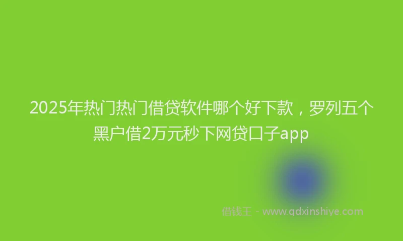 2025年热门热门借贷软件哪个好下款，罗列五个黑户借2万元秒下网贷口子app