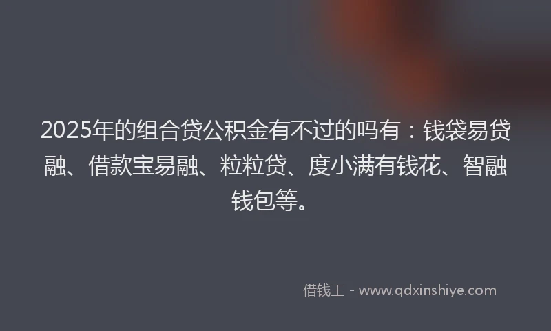 2025年的组合贷公积金有不过的吗有：钱袋易贷融、借款宝易融、粒粒贷、度小满有钱花、智融钱包等。