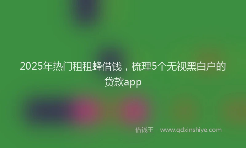 2025年热门租租蜂借钱，梳理5个无视黑白户的贷款app