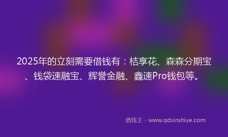 2025年的立刻需要借钱有：桔享花、森森分期宝、钱袋速融宝、辉誉金融、鑫速Pro钱包等。