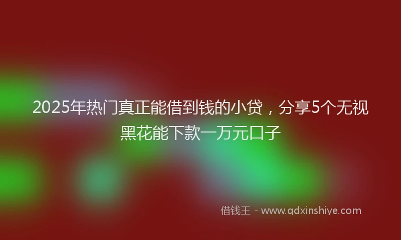2025年热门真正能借到钱的小贷，分享5个无视黑花能下款一万元口子