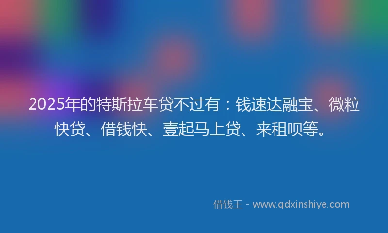 2025年的特斯拉车贷不过有：钱速达融宝、微粒快贷、借钱快、壹起马上贷、来租呗等。