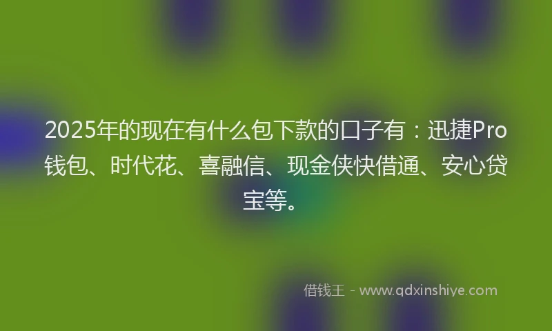 2025年的现在有什么包下款的口子有：迅捷Pro钱包、时代花、喜融信、现金侠快借通、安心贷宝等。