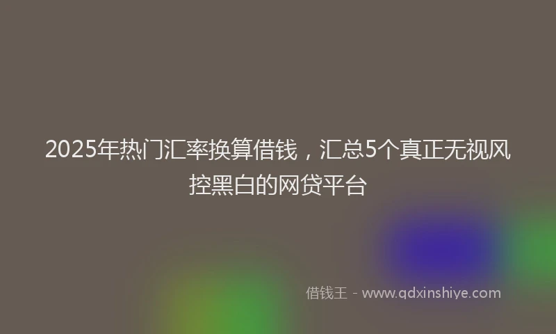 2025年热门汇率换算借钱，汇总5个真正无视风控黑白的网贷平台