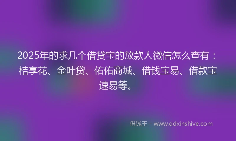 2025年的求几个借贷宝的放款人微信怎么查有：桔享花、金叶贷、佑佑商城、借钱宝易、借款宝速易等。