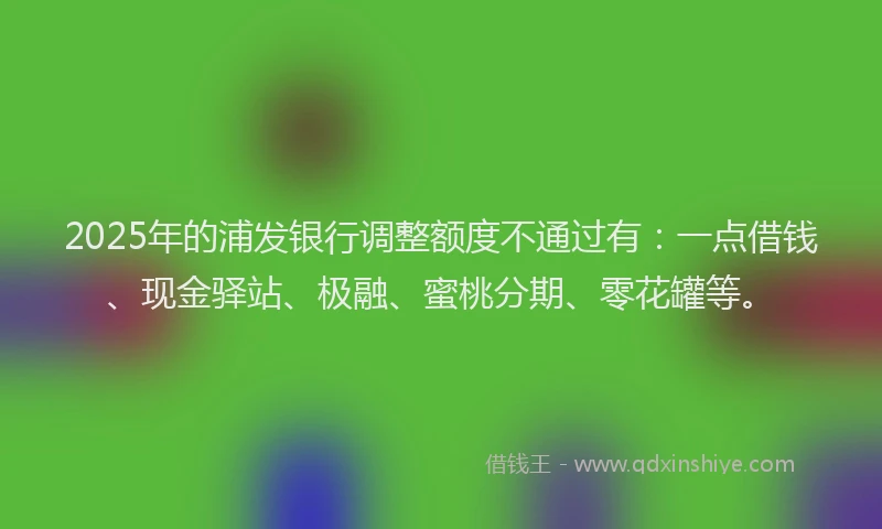 2025年的浦发银行调整额度不通过有：一点借钱、现金驿站、极融、蜜桃分期、零花罐等。