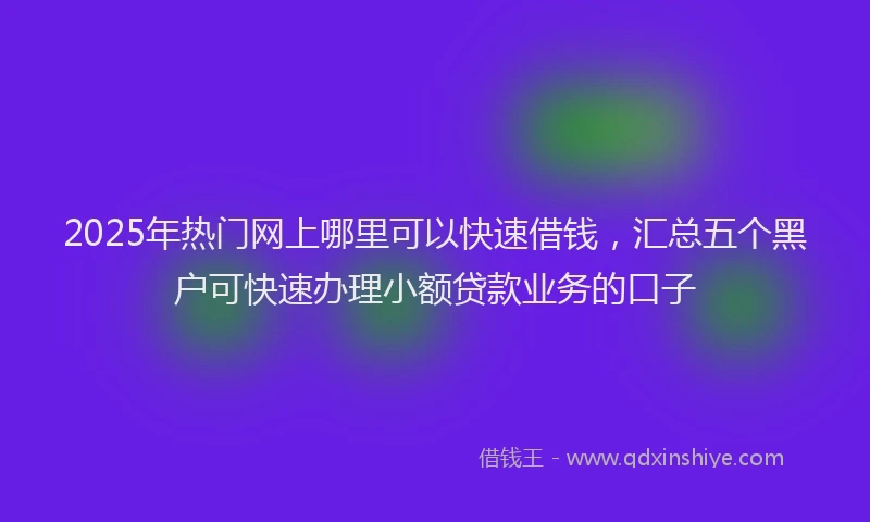 2025年热门网上哪里可以快速借钱，汇总五个黑户可快速办理小额贷款业务的口子