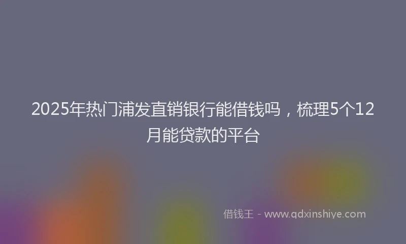 2025年热门浦发直销银行能借钱吗，梳理5个12月能贷款的平台
