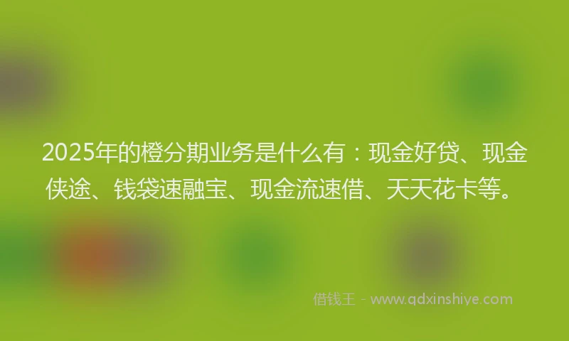 2025年的橙分期业务是什么有：现金好贷、现金侠途、钱袋速融宝、现金流速借、天天花卡等。