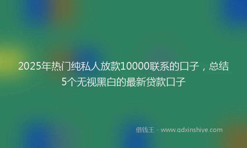 2025年热门纯私人放款10000联系的口子，总结5个无视黑白的最新贷款口子