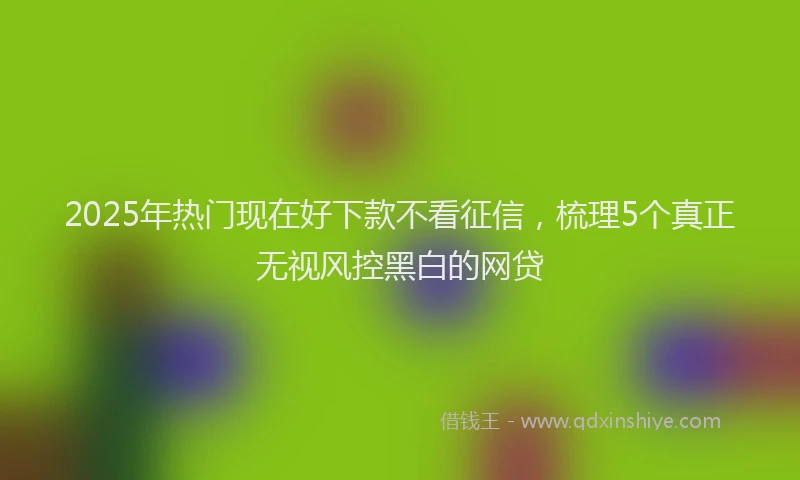 2025年热门现在好下款不看征信，梳理5个真正无视风控黑白的网贷