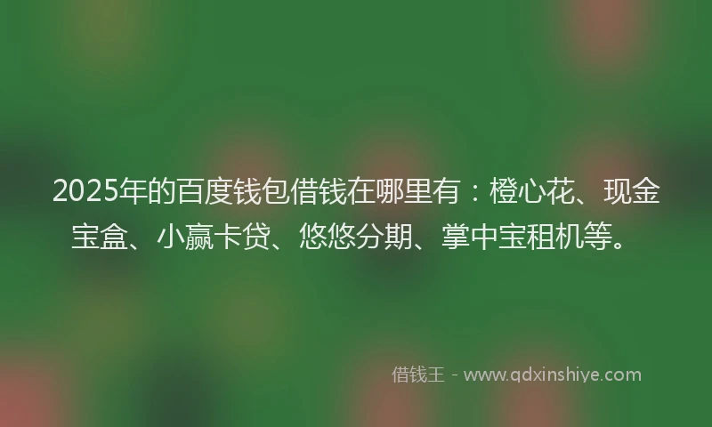 2025年的百度钱包借钱在哪里有：橙心花、现金宝盒、小赢卡贷、悠悠分期、掌中宝租机等。