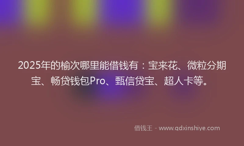 2025年的榆次哪里能借钱有：宝来花、微粒分期宝、畅贷钱包Pro、甄信贷宝、超人卡等。