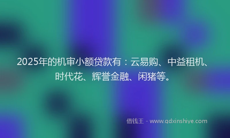 2025年的机审小额贷款有：云易购、中益租机、时代花、辉誉金融、闲猪等。