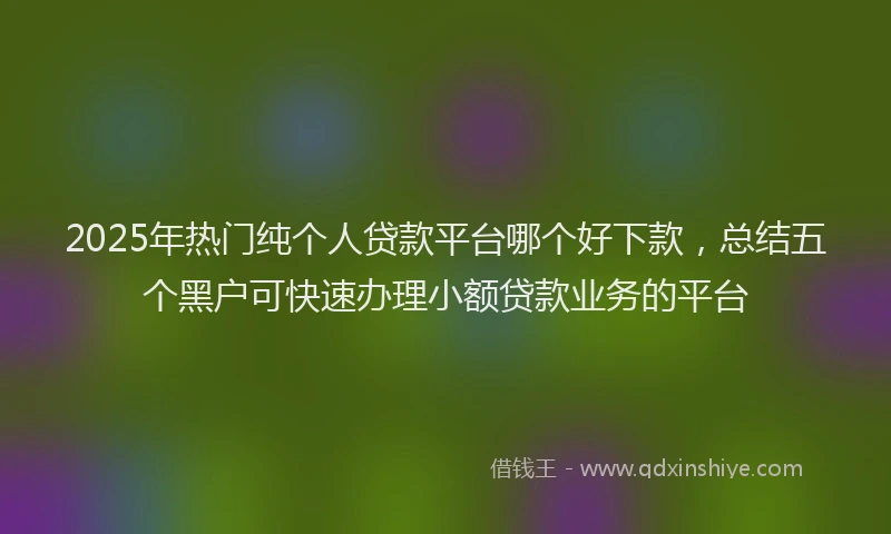 2025年热门纯个人贷款平台哪个好下款，总结五个黑户可快速办理小额贷款业务的平台