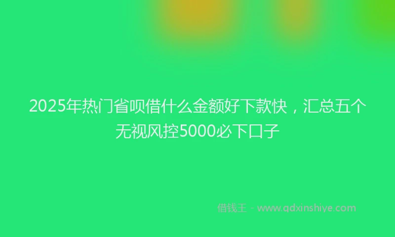 2025年热门省呗借什么金额好下款快，汇总五个无视风控5000必下口子