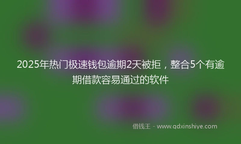 2025年热门极速钱包逾期2天被拒，整合5个有逾期借款容易通过的软件