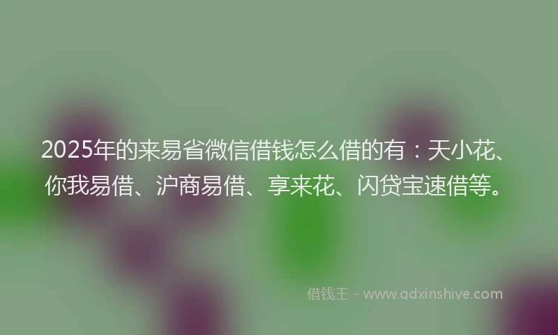 2025年的来易省微信借钱怎么借的有：天小花、你我易借、沪商易借、享来花、闪贷宝速借等。