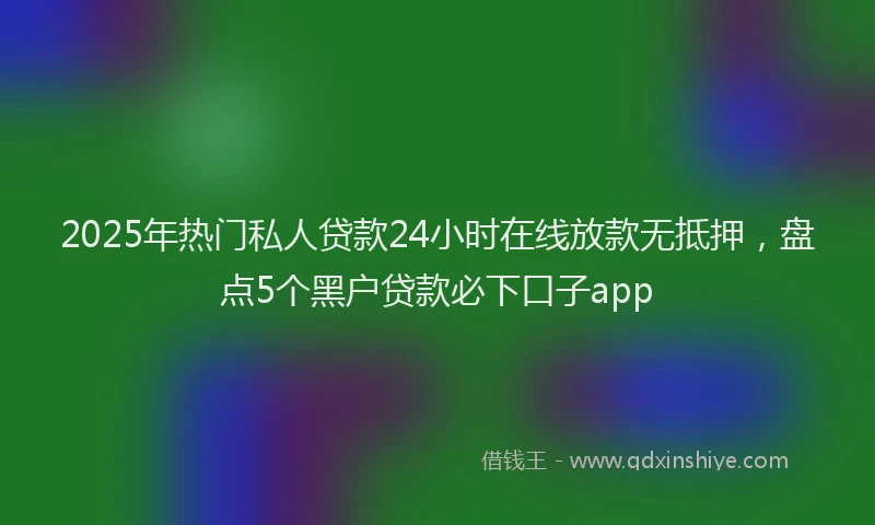 2025年热门私人贷款24小时在线放款无抵押，盘点5个黑户贷款必下口子app