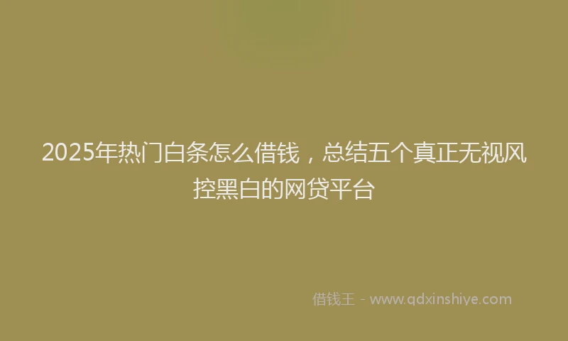 2025年热门白条怎么借钱，总结五个真正无视风控黑白的网贷平台