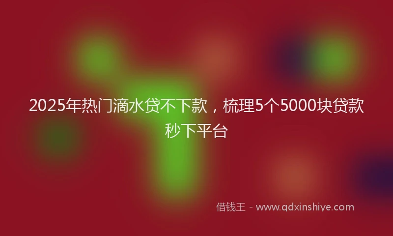 2025年热门滴水贷不下款，梳理5个5000块贷款秒下平台