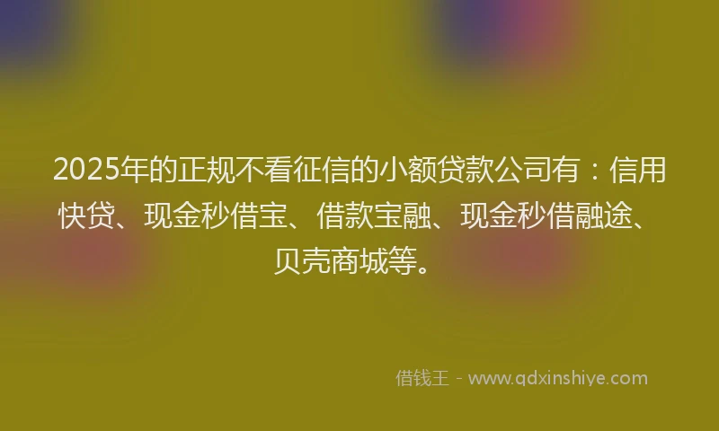 2025年的正规不看征信的小额贷款公司有：信用快贷、现金秒借宝、借款宝融、现金秒借融途、贝壳商城等。