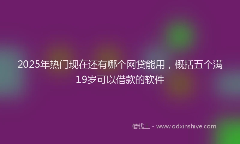 2025年热门现在还有哪个网贷能用，概括五个满19岁可以借款的软件