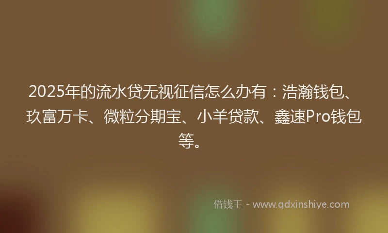 2025年的流水贷无视征信怎么办有：浩瀚钱包、玖富万卡、微粒分期宝、小羊贷款、鑫速Pro钱包等。