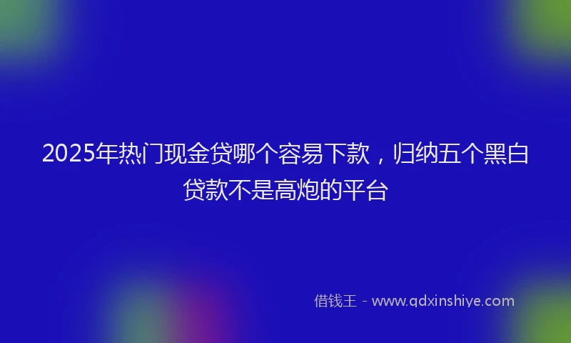 2025年热门现金贷哪个容易下款，归纳五个黑白贷款不是高炮的平台
