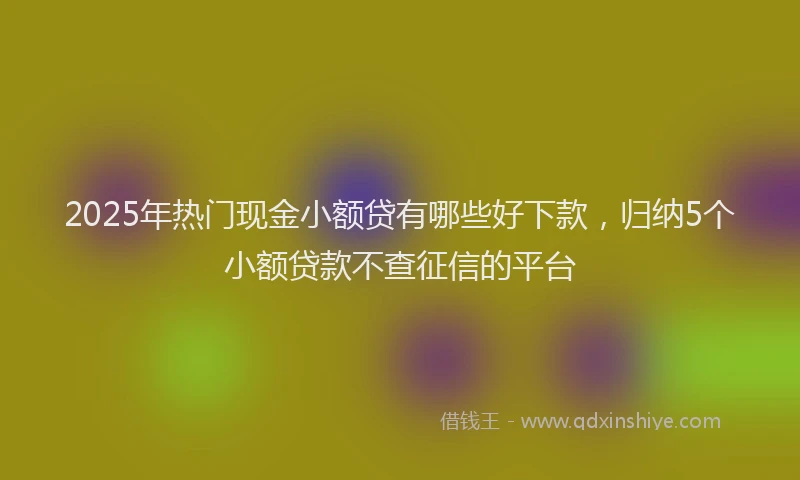 2025年热门现金小额贷有哪些好下款，归纳5个小额贷款不查征信的平台