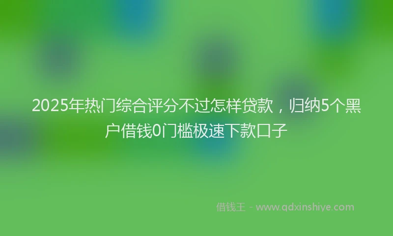 2025年热门综合评分不过怎样贷款，归纳5个黑户借钱0门槛极速下款口子