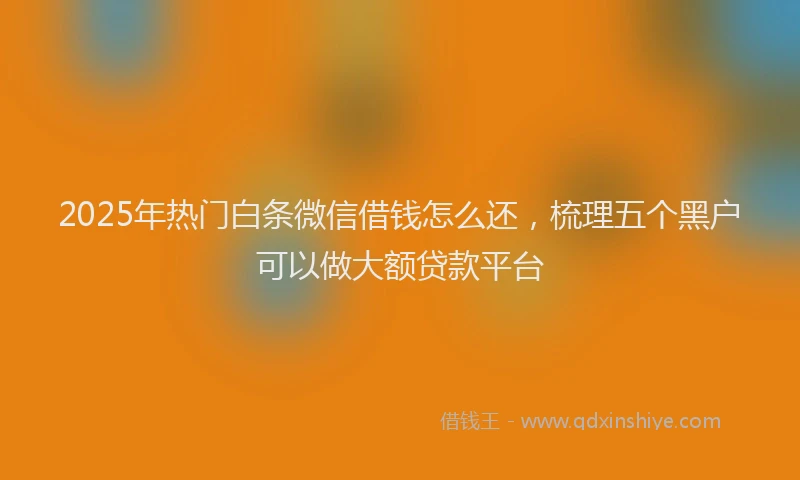 2025年热门白条微信借钱怎么还，梳理五个黑户可以做大额贷款平台