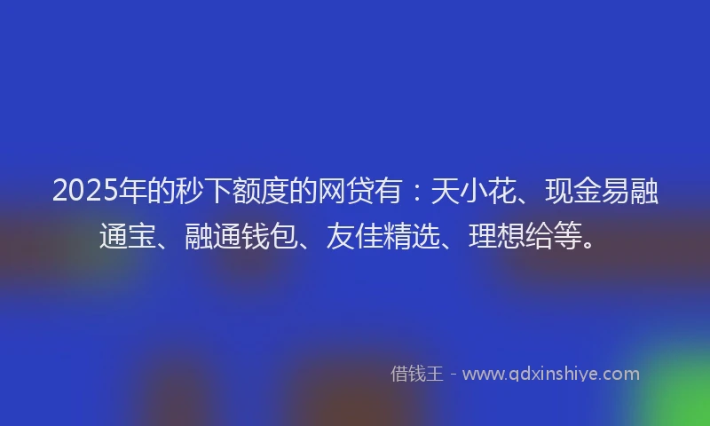 2025年的秒下额度的网贷有：天小花、现金易融通宝、融通钱包、友佳精选、理想给等。