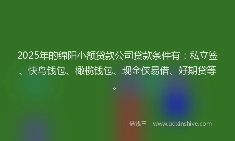 2025年的绵阳小额贷款公司贷款条件有：私立签、快鸟钱包、橄榄钱包、现金侠易借、好期贷等。