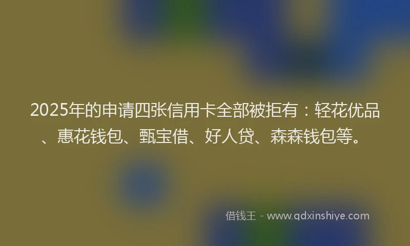 2025年的申请四张信用卡全部被拒有：轻花优品、惠花钱包、甄宝借、好人贷、森森钱包等。