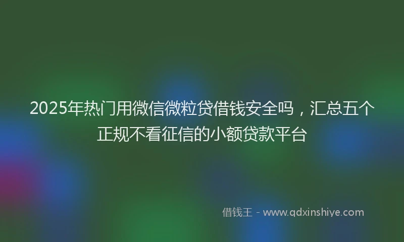 2025年热门用微信微粒贷借钱安全吗，汇总五个正规不看征信的小额贷款平台