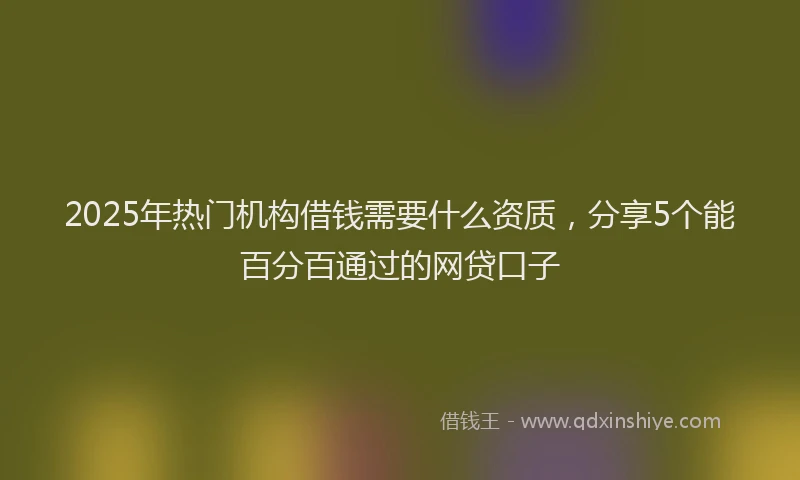 2025年热门机构借钱需要什么资质，分享5个能百分百通过的网贷口子