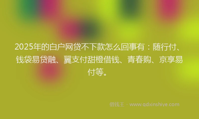 2025年的白户网贷不下款怎么回事有：随行付、钱袋易贷融、翼支付甜橙借钱、青春购、京享易付等。