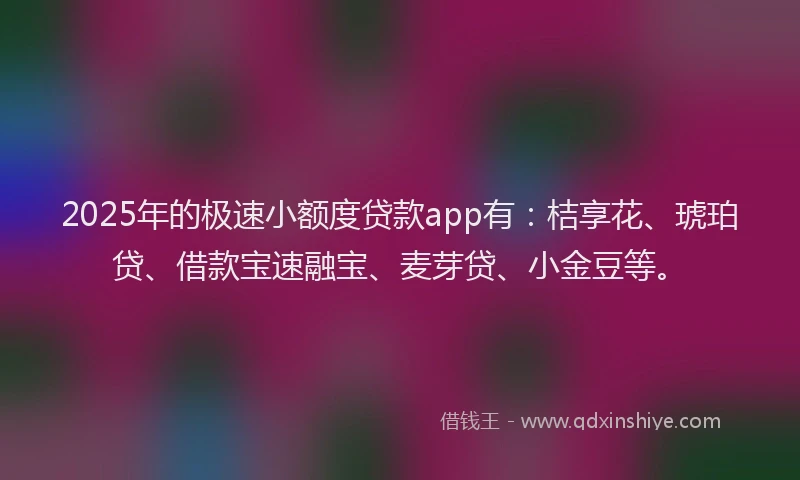 2025年的极速小额度贷款app有：桔享花、琥珀贷、借款宝速融宝、麦芽贷、小金豆等。