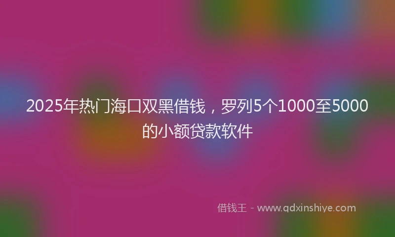 2025年热门海口双黑借钱，罗列5个1000至5000的小额贷款软件