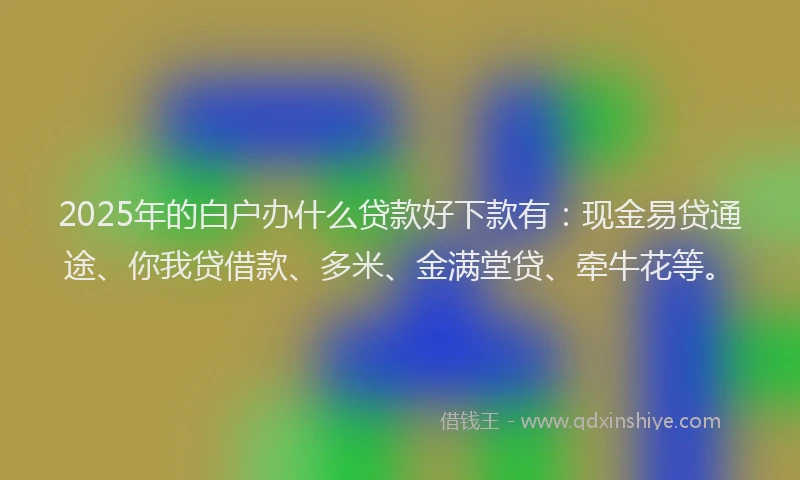 2025年的白户办什么贷款好下款有：现金易贷通途、你我贷借款、多米、金满堂贷、牵牛花等。