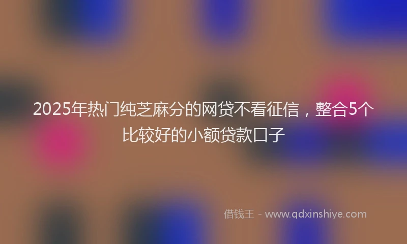 2025年热门纯芝麻分的网贷不看征信，整合5个比较好的小额贷款口子
