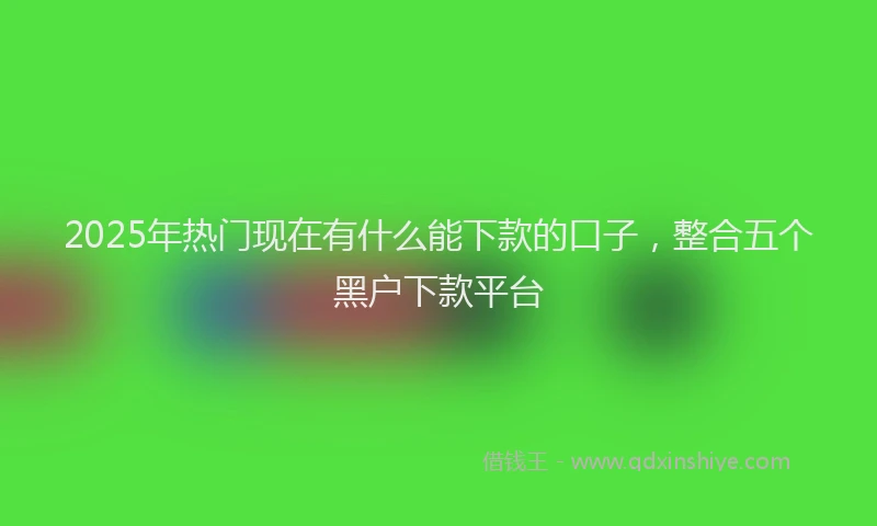 2025年热门现在有什么能下款的口子，整合五个黑户下款平台