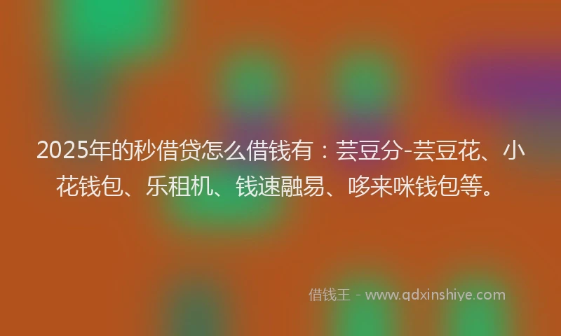 2025年的秒借贷怎么借钱有：芸豆分-芸豆花、小花钱包、乐租机、钱速融易、哆来咪钱包等。