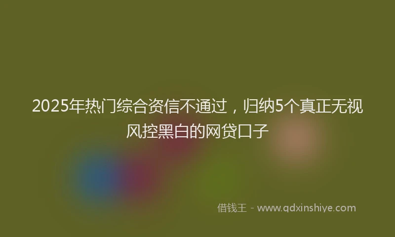 2025年热门综合资信不通过，归纳5个真正无视风控黑白的网贷口子