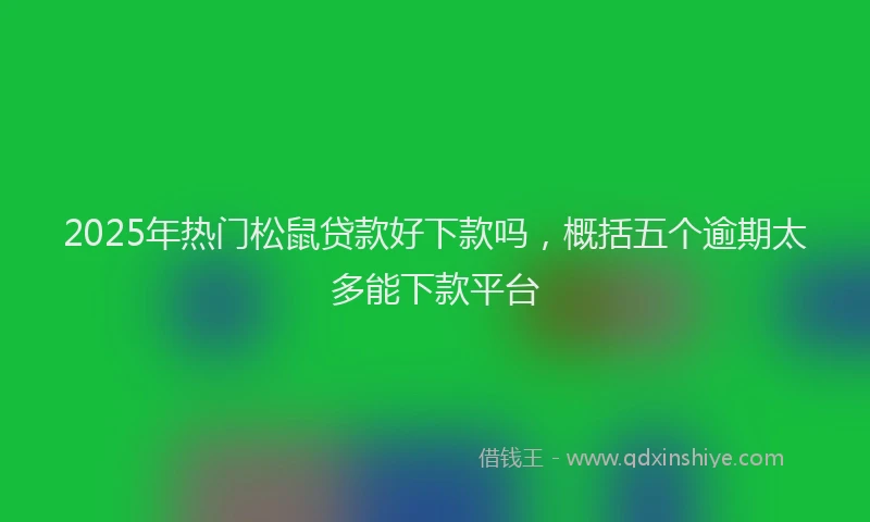 2025年热门松鼠贷款好下款吗，概括五个逾期太多能下款平台
